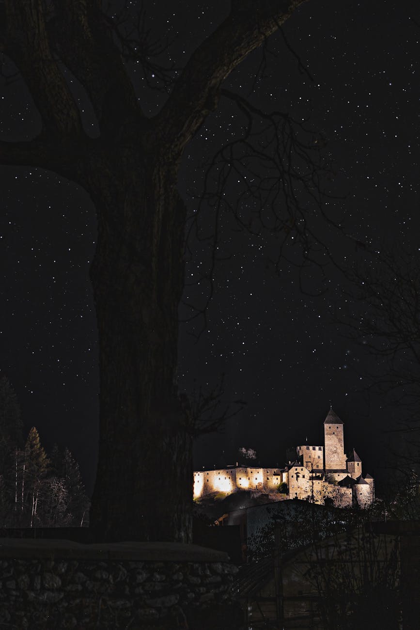 brown castle under a starry sky